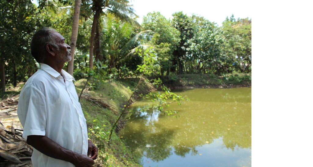 Balakrishnan had dug two farm ponds. Unexpected rains fell for two days in February, filling the ponds and a well. The rainwater stored in ponds allowed him to risk experimenting with coconut farming. The rains are no longer predictable and farmers believe that farm ponds could be the solution to water insecurity in the future.